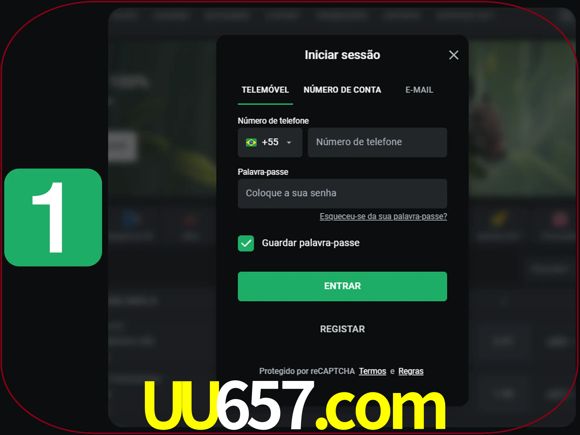 Clique no botão Entrar.